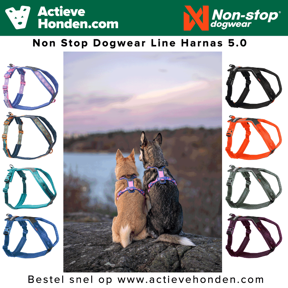 ActieveHonden.com Facebook ad: Tuigen en Harnassen - Tuigen en Harnassen…