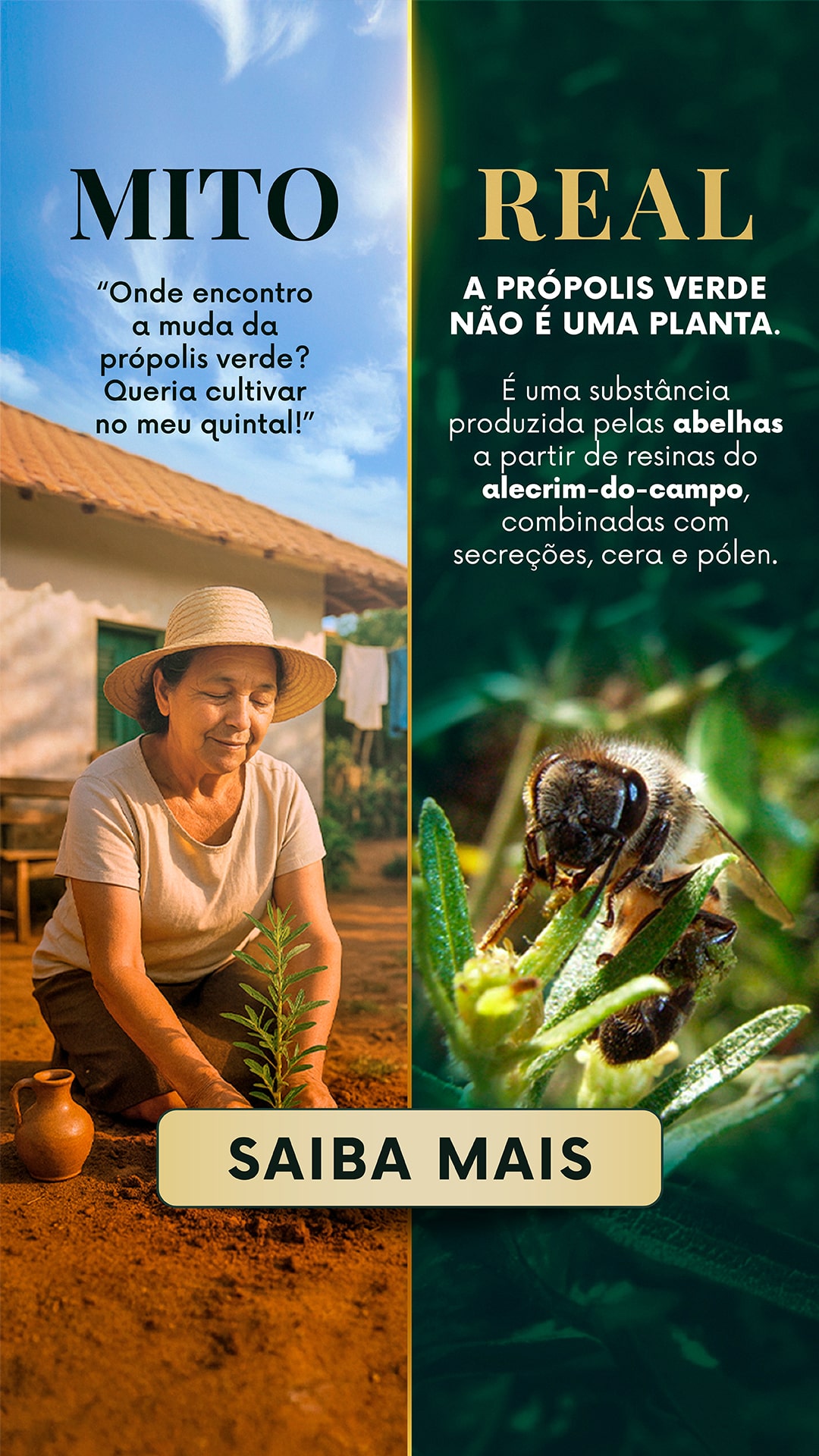 Pharmanectar Facebook ad