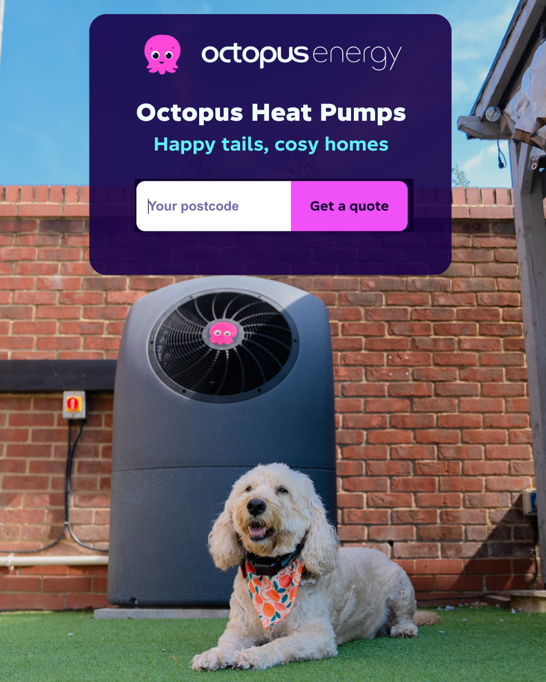 Octopus Energy Facebook ad