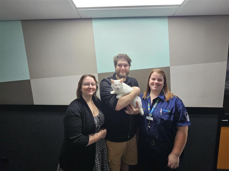 RSPCA QLD Facebook ad: 1 of 100 reasons to adopt: Resilience that…