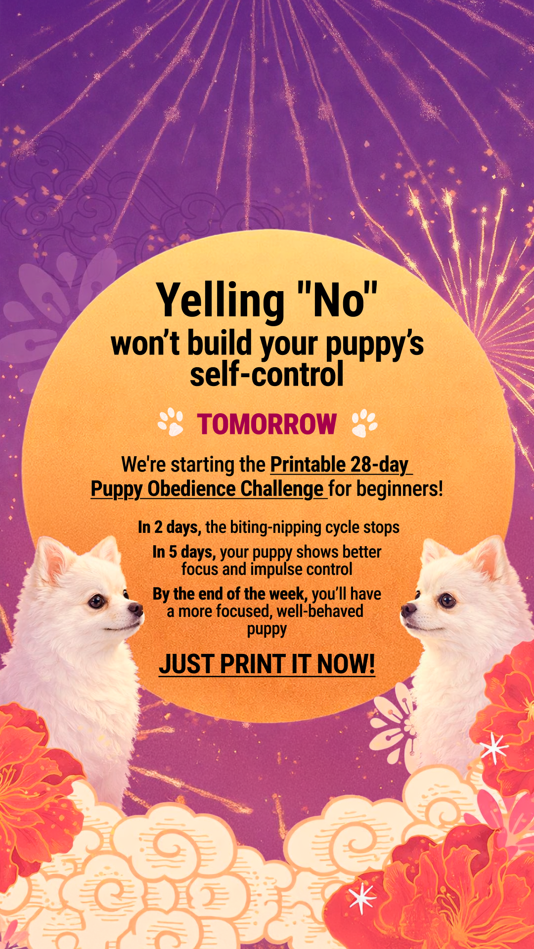 Woofz Facebook ad