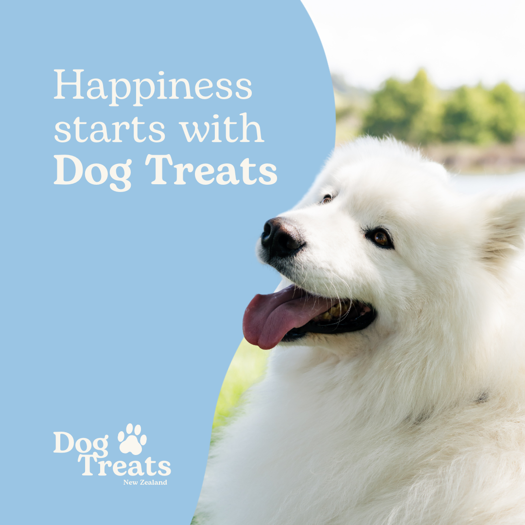 Dog Treats NZ Facebook ad: Make treat time feel a little more exciting!