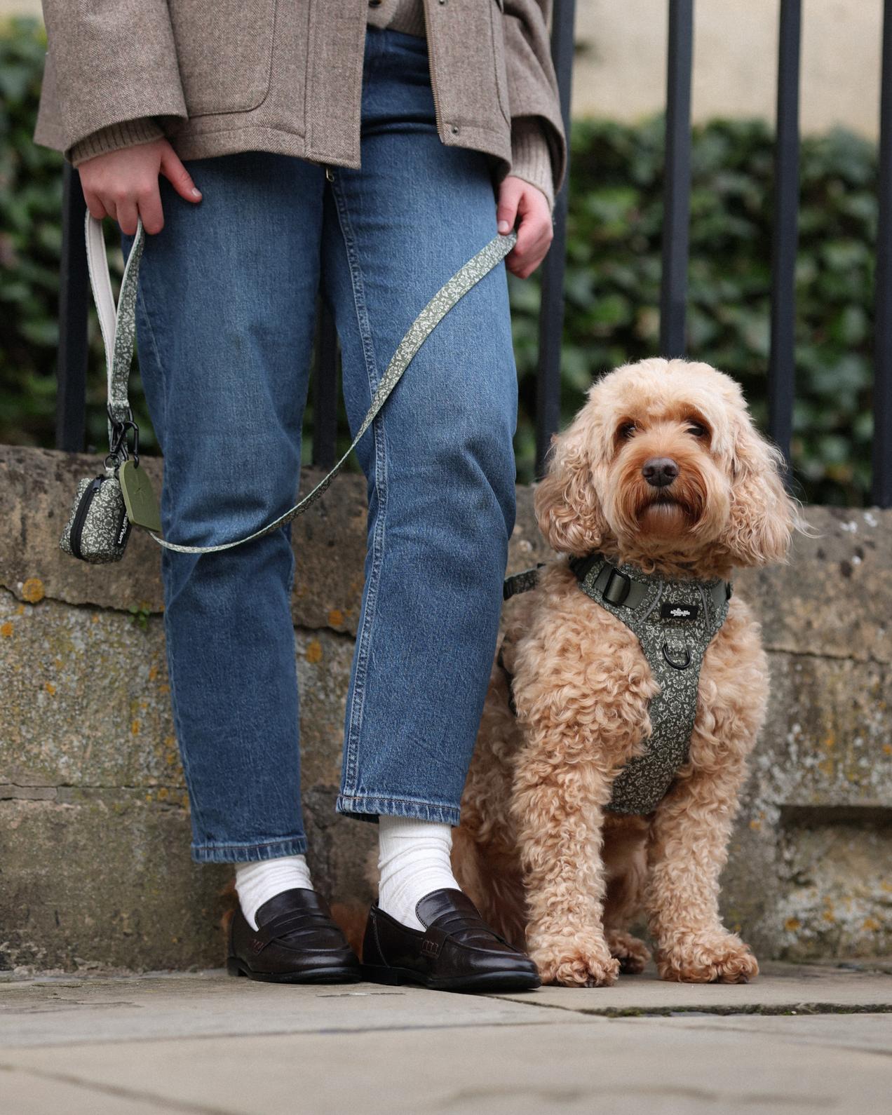 The Adorable Pooch Company Facebook ad