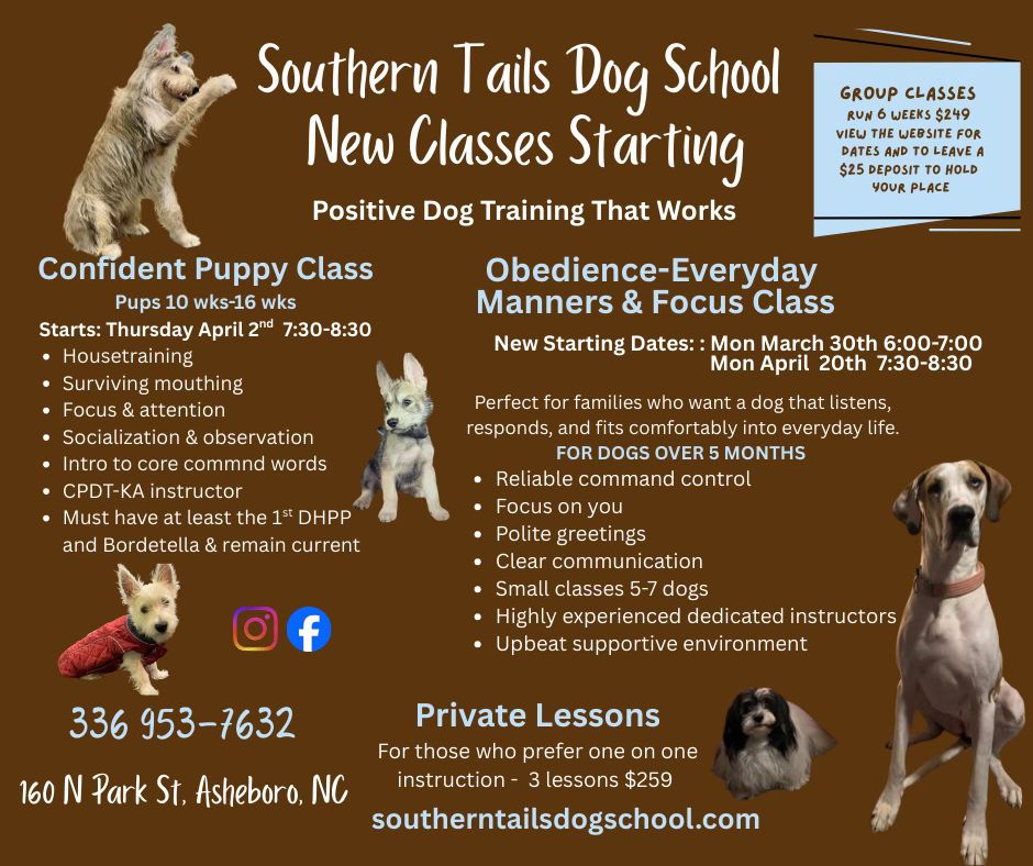 Southern Tails Dog School Facebook ad: New Classes Starting at Southern Tails