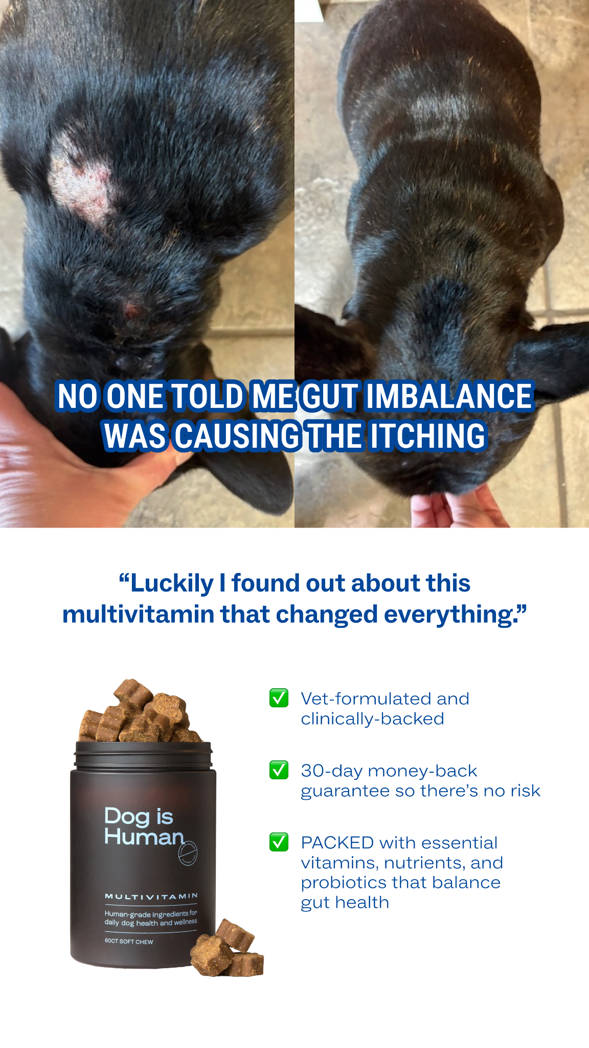 Dog is Human Facebook ad