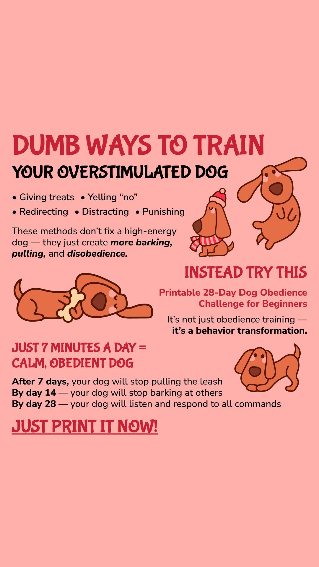 28 Day Dog Obedience Challenge Facebook ad
