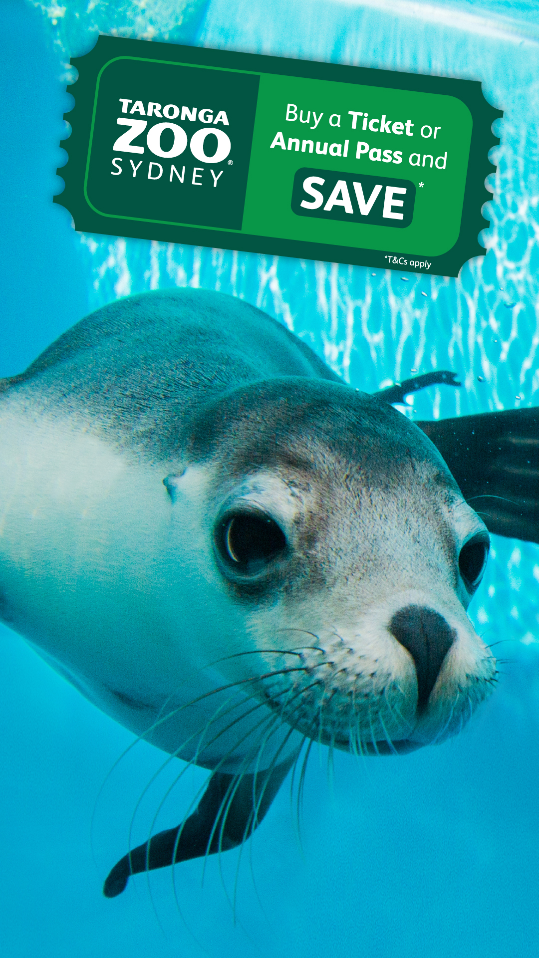 Taronga Zoo Sydney Facebook ad from May 31, 2026