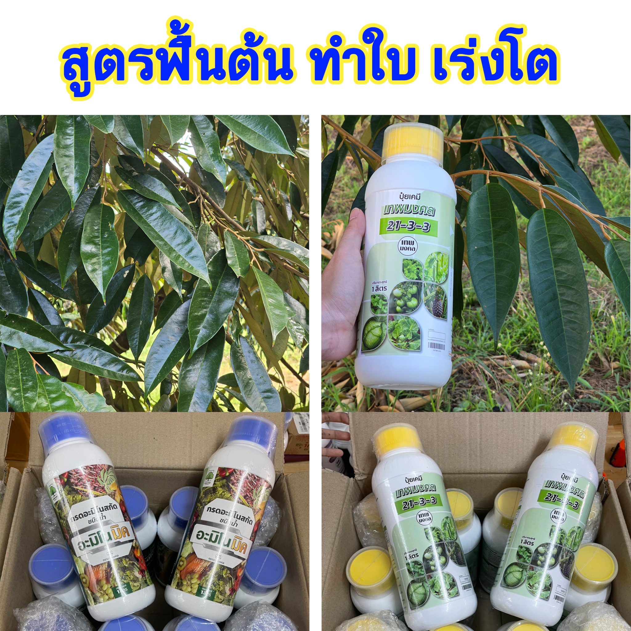 ปุ๋ย ตราเทพมงคล Facebook ad