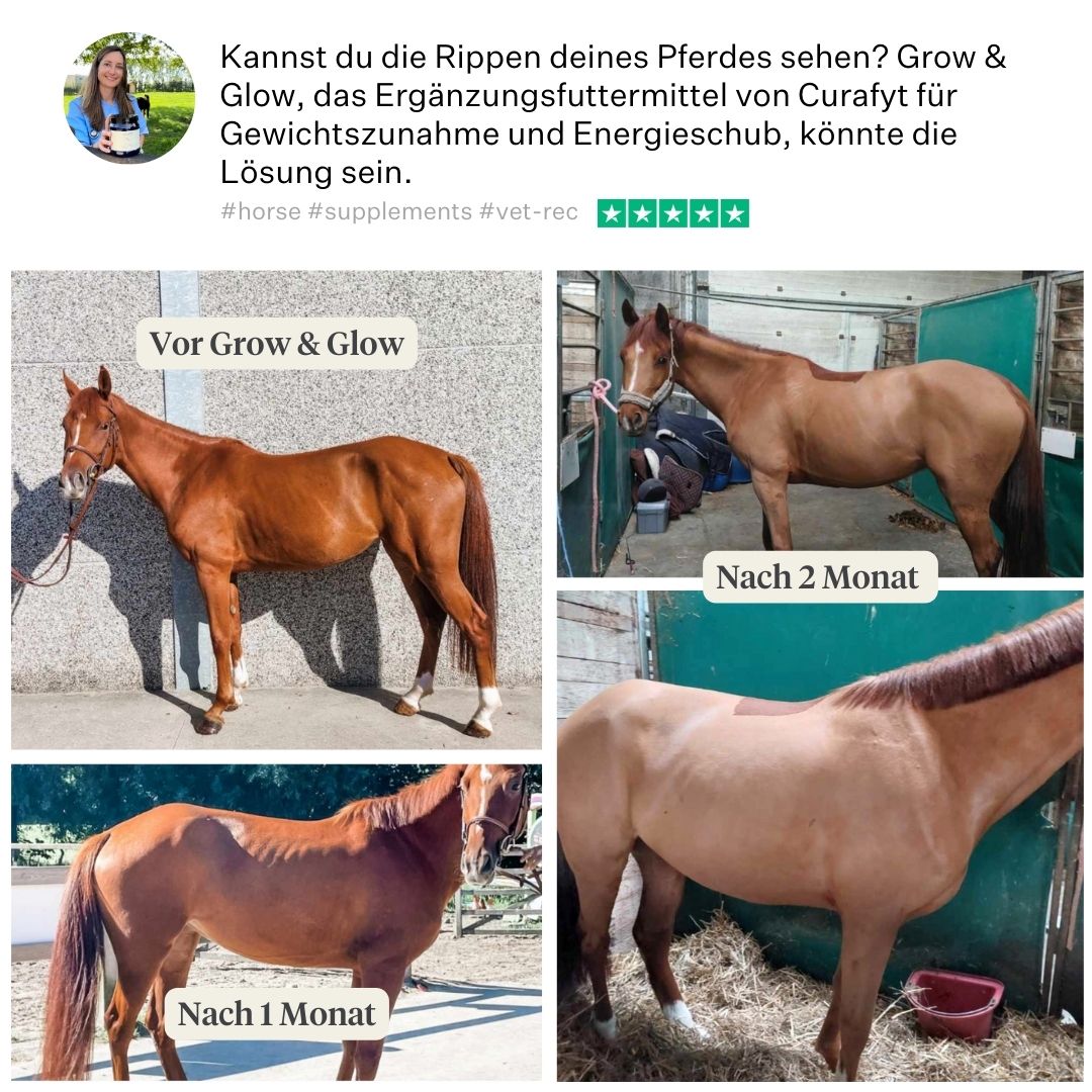 Vet Valerie Facebook ad from Jun 18, 2026
