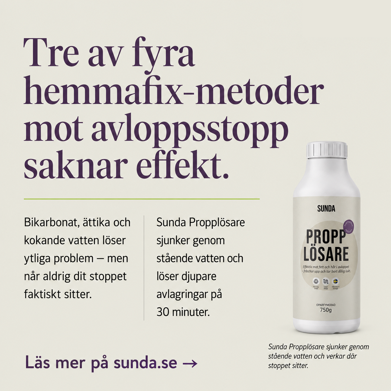 Sunda Facebook ad