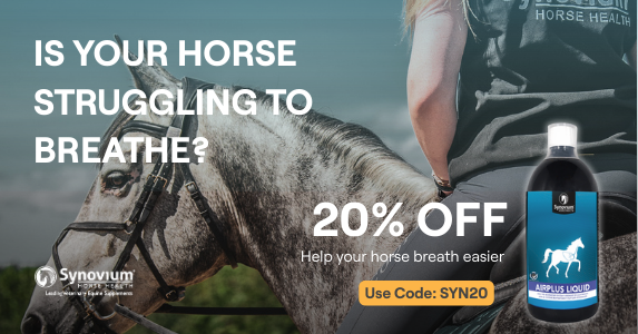 Synovium Horse Health Supplements UK Facebook ad from Mar 25, 2026