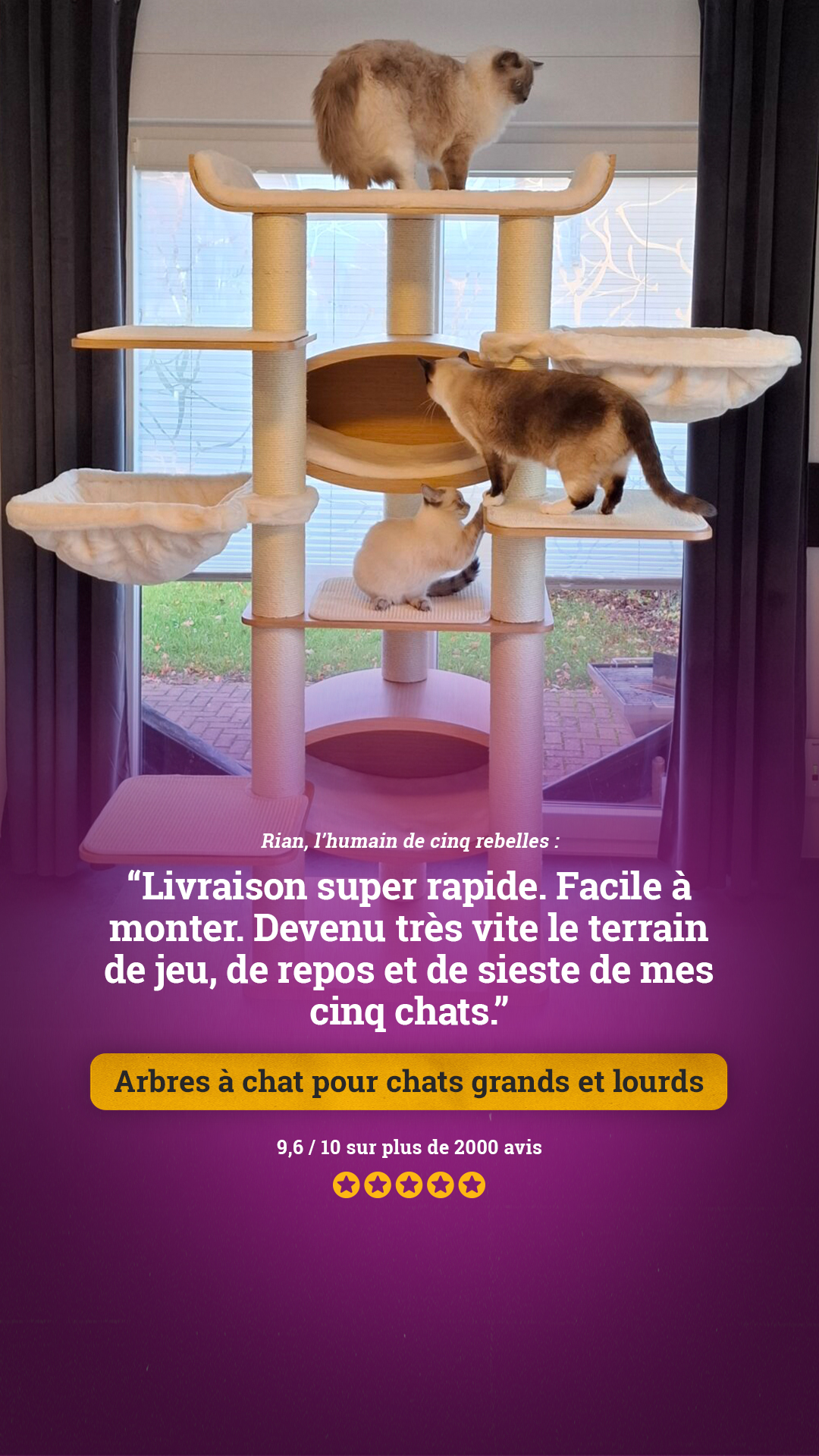 petrebels.com Facebook ad