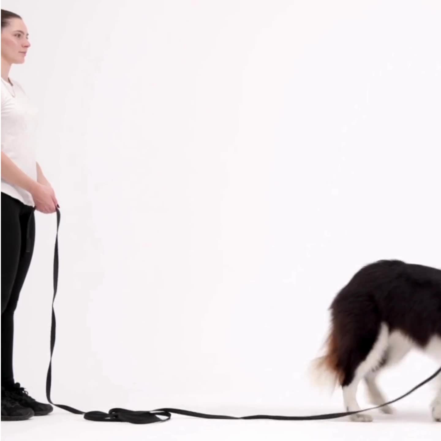EzyDog Facebook ad from Jul 14, 2025