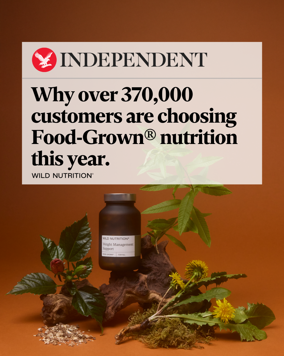 The Independent Facebook ad