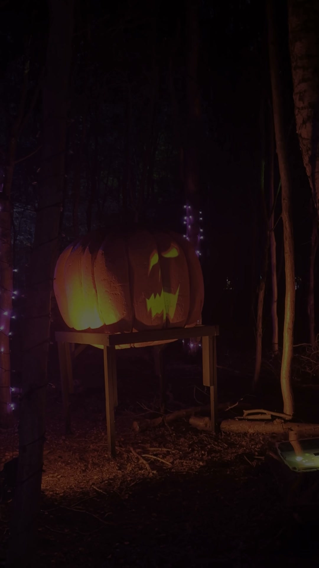 Magical Woodland Facebook ad: Don't miss out on our 10th Anniversary