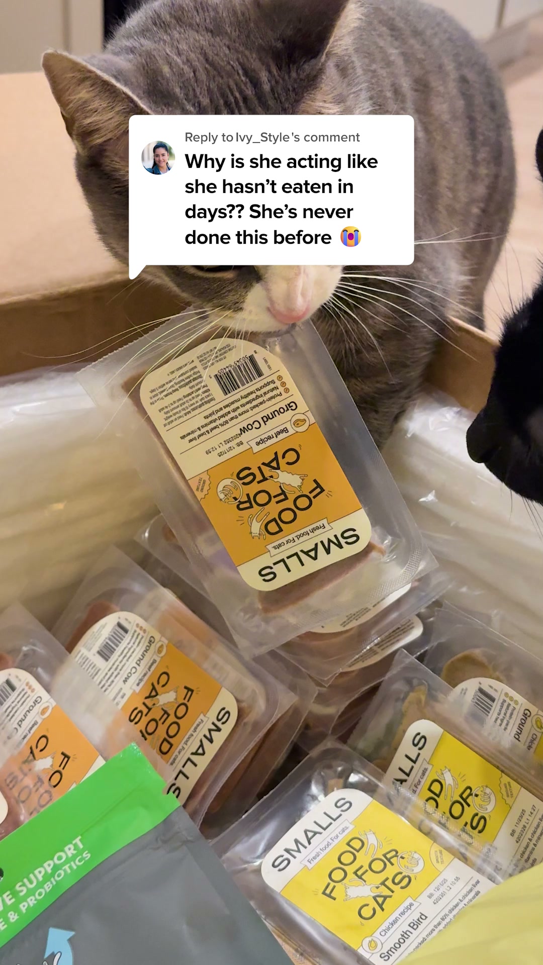 Smalls Facebook ad: Human-Grade Fresh Cat Food