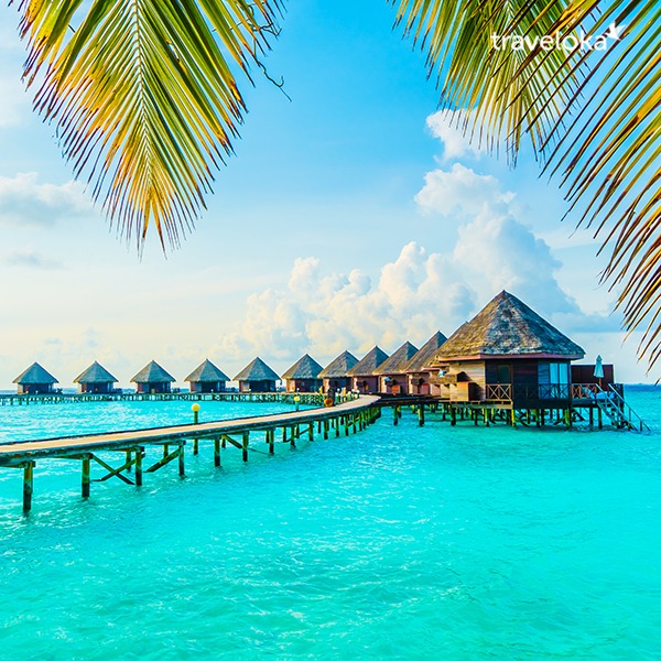 Traveloka Facebook ad: Dreaming of your next adventure?