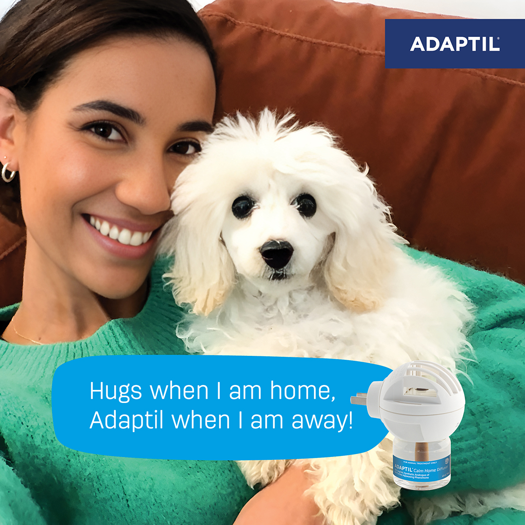 ADAPTIL Facebook ad: Say good-bye to separation anxiety