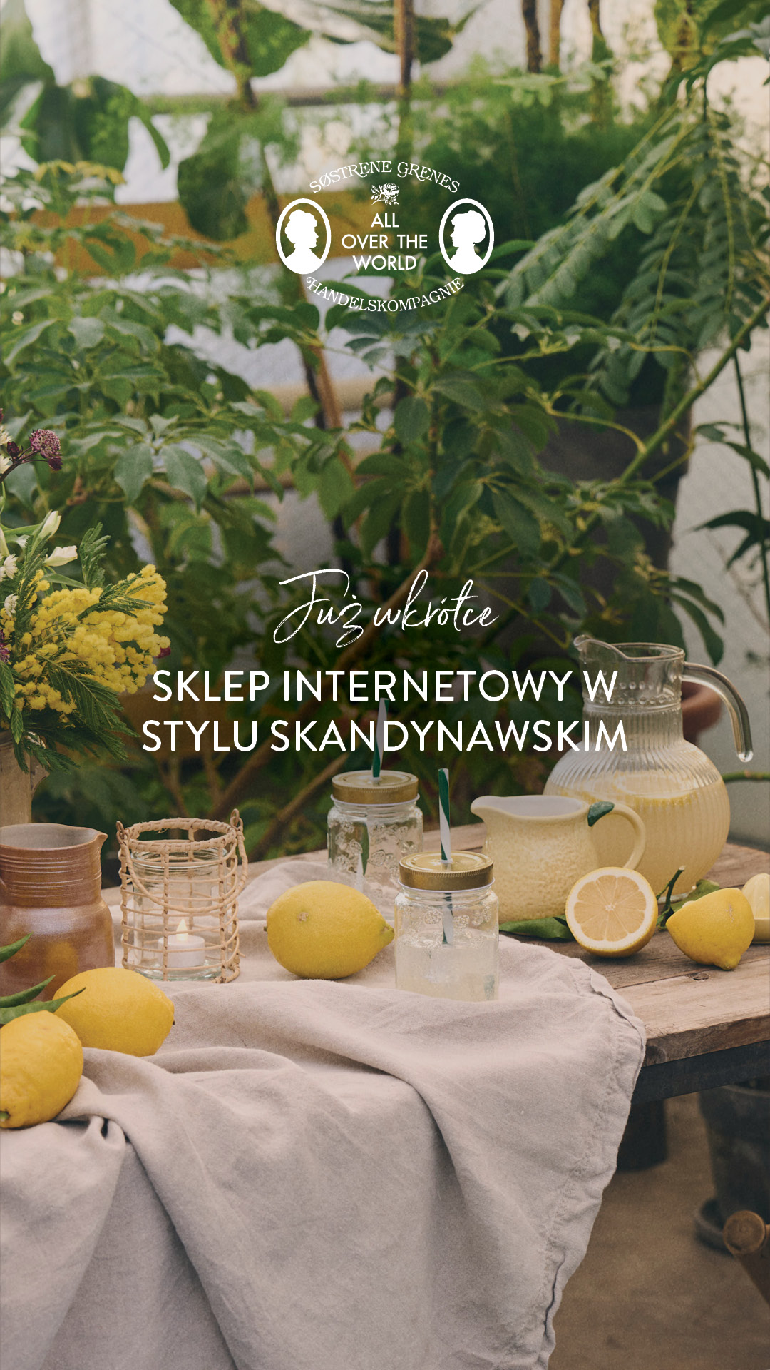 Søstrene Grene Facebook ad