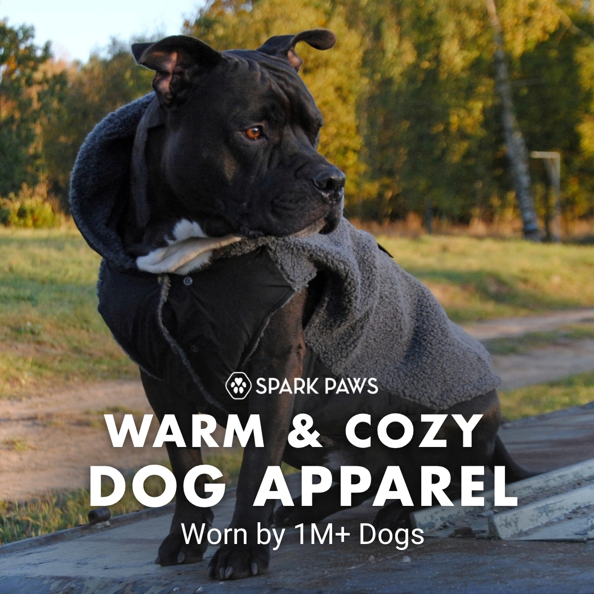 Spark Paws Facebook ad