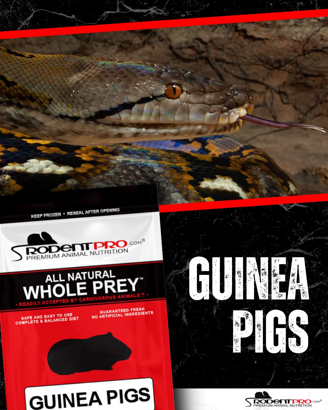 RodentPro.com Facebook ad