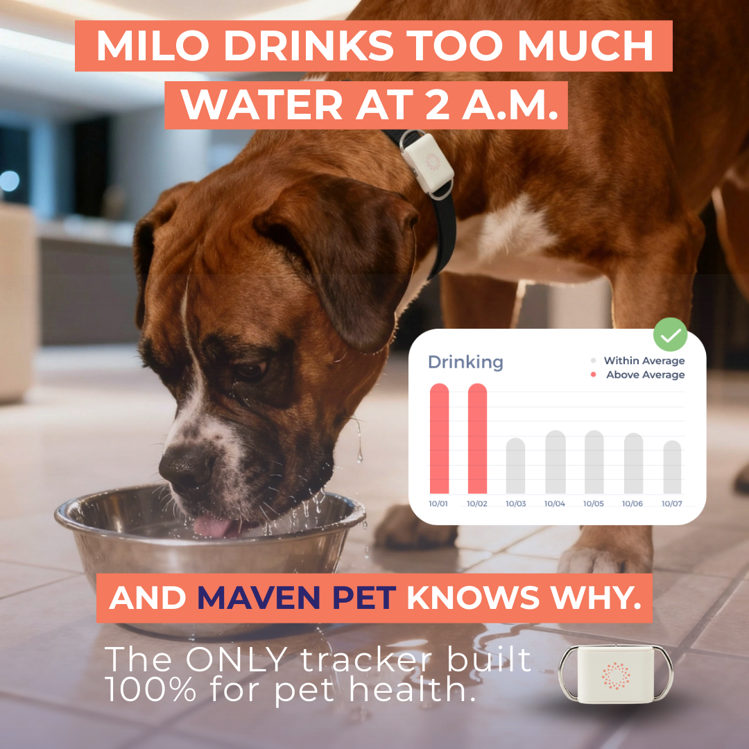 Maven Pet Facebook ad