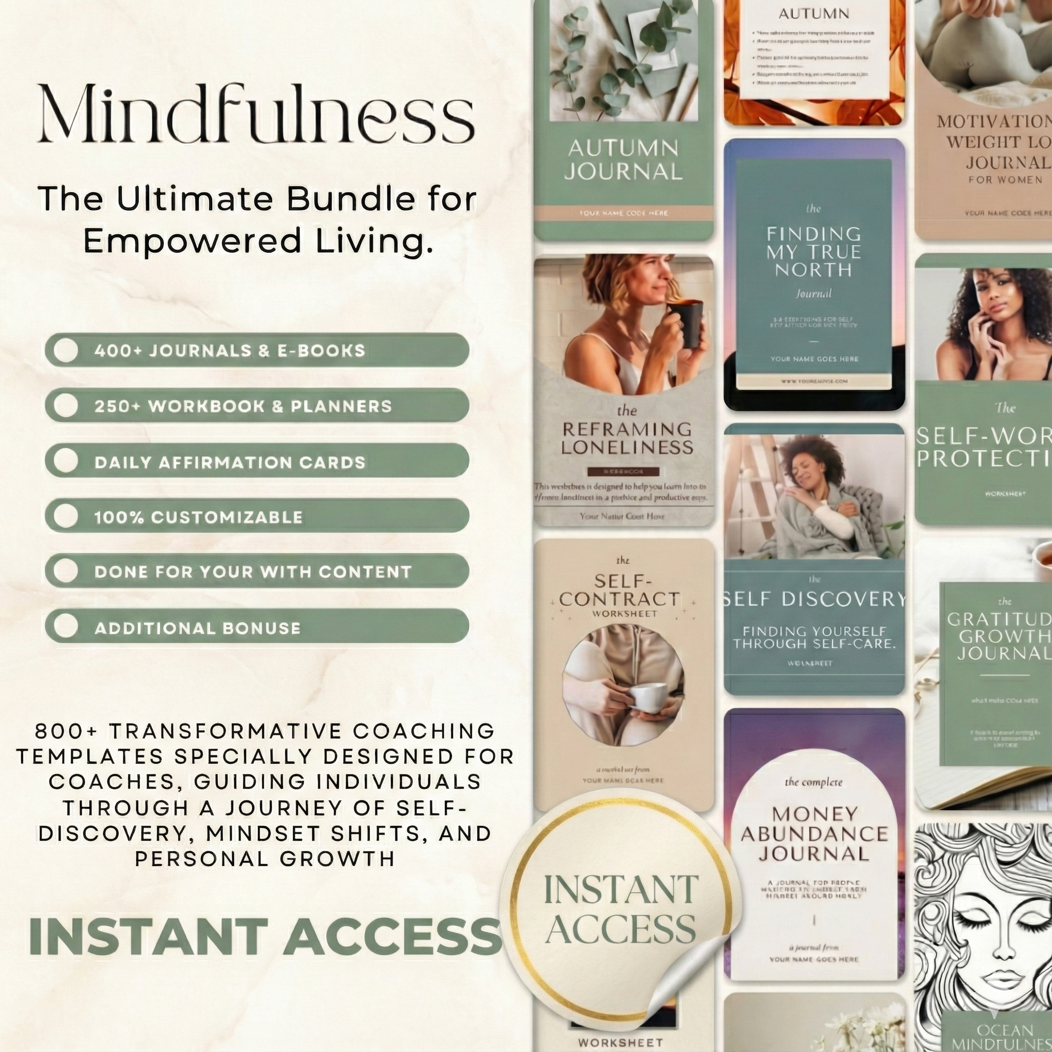 Ultimate Project Manager Facebook ad: Pre-Built Tools for Serious Mindfulness Coaches