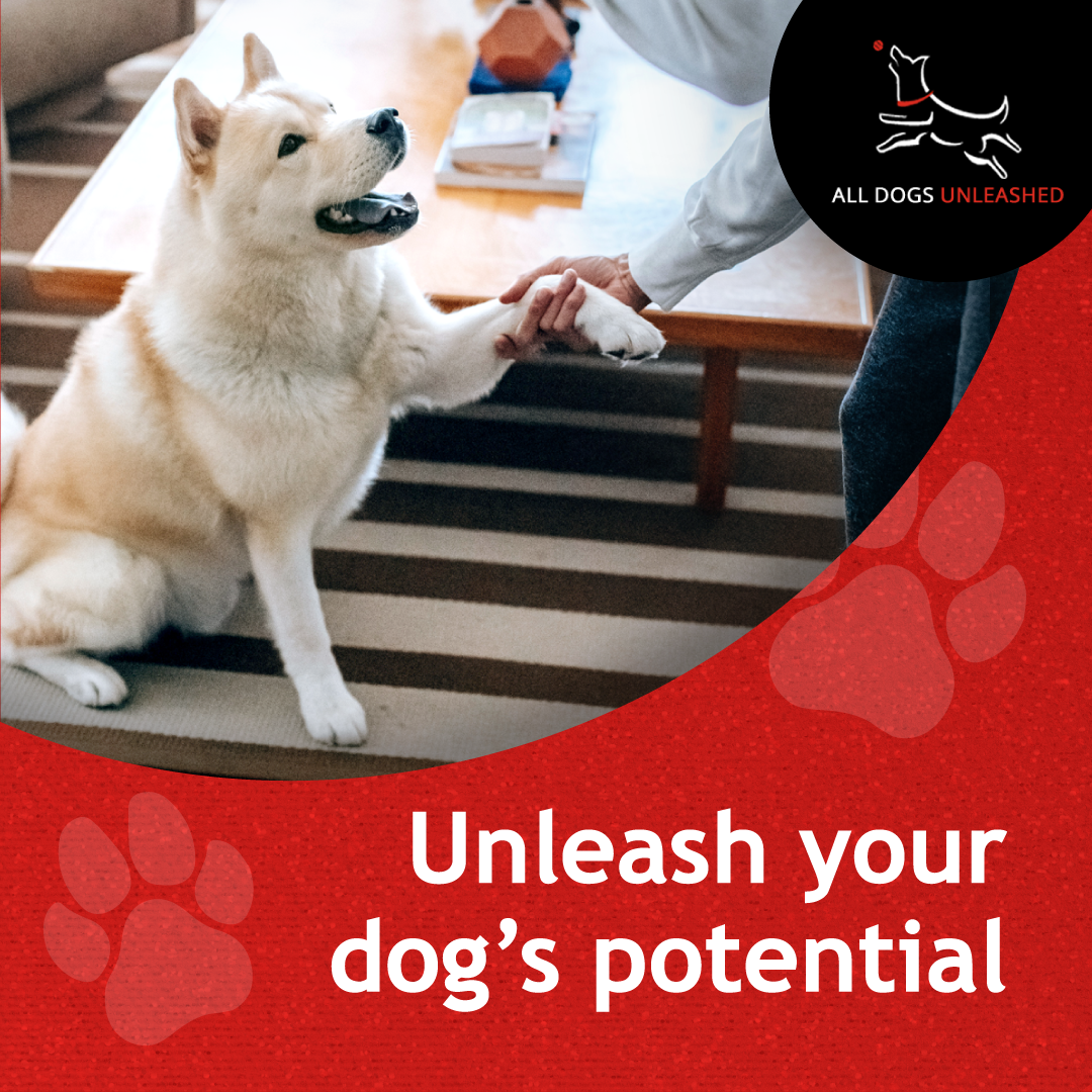 All Dogs Unleashed Facebook ad