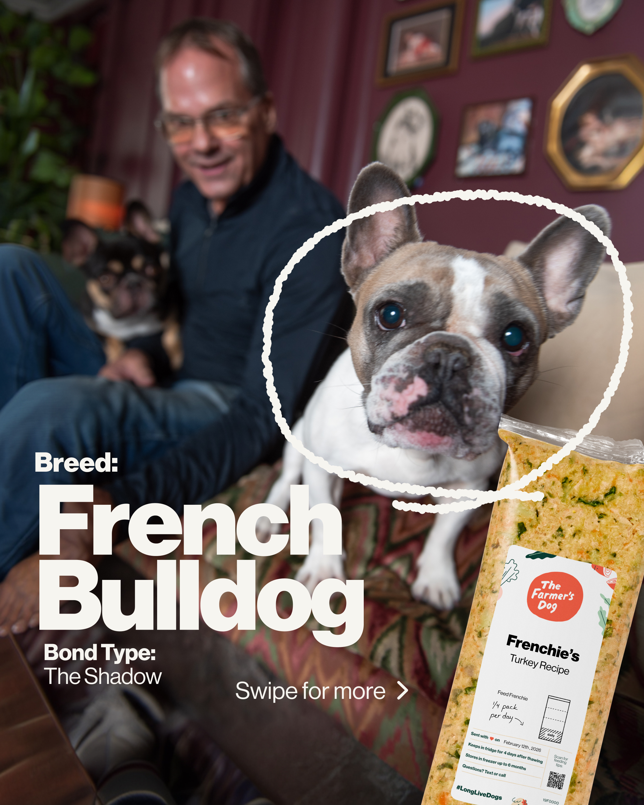 The Farmer's Dog Facebook ad