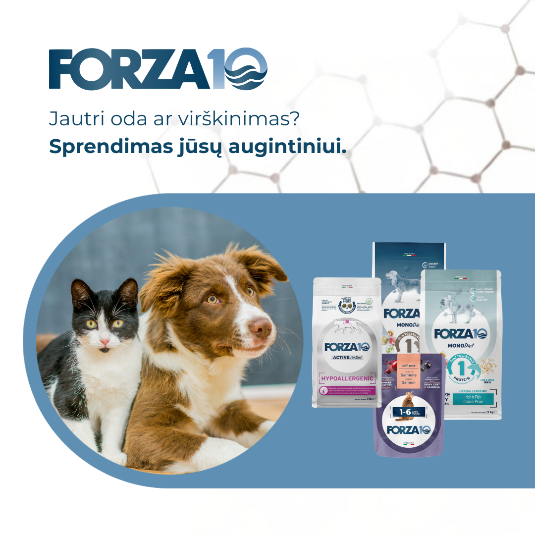 Forza10 Lietuva Facebook ad: Ne tik maistas, bet sprendimas