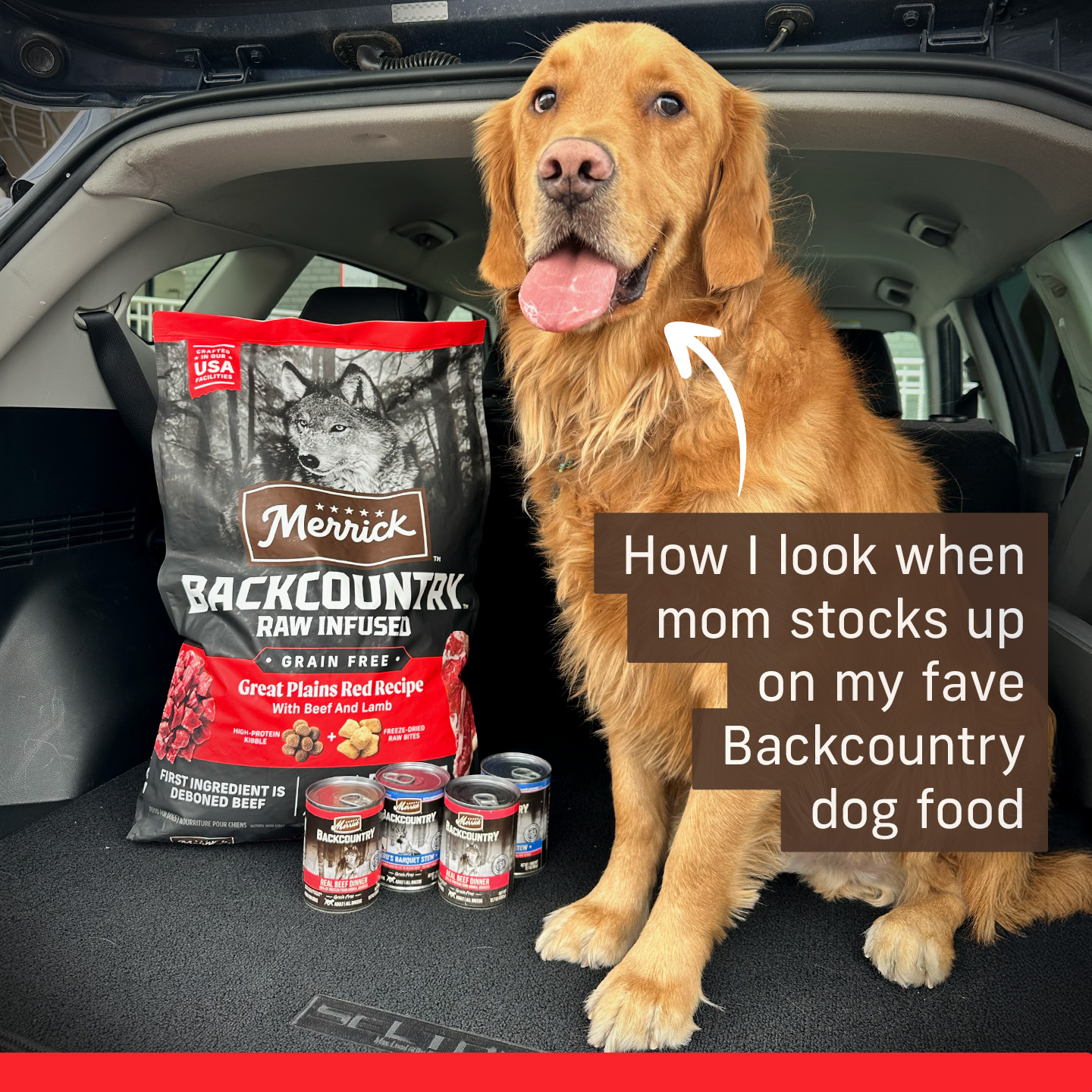 Merrick Pet Care Facebook ad