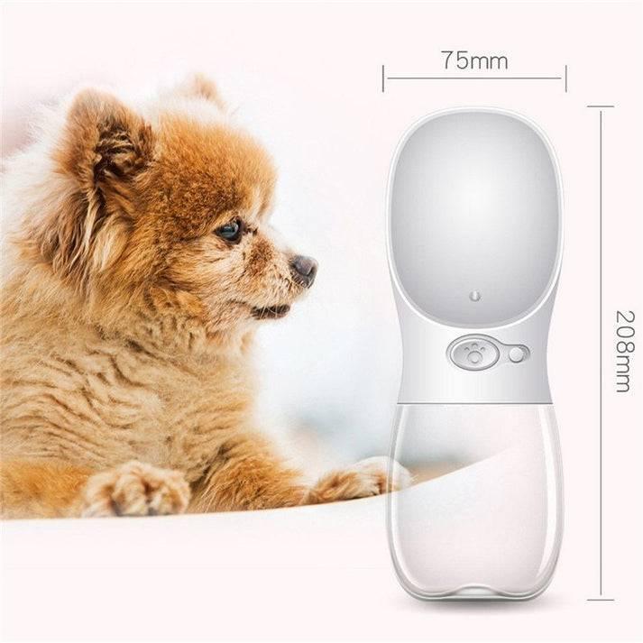 Cat  and dogs pet shop  Facebook ad
