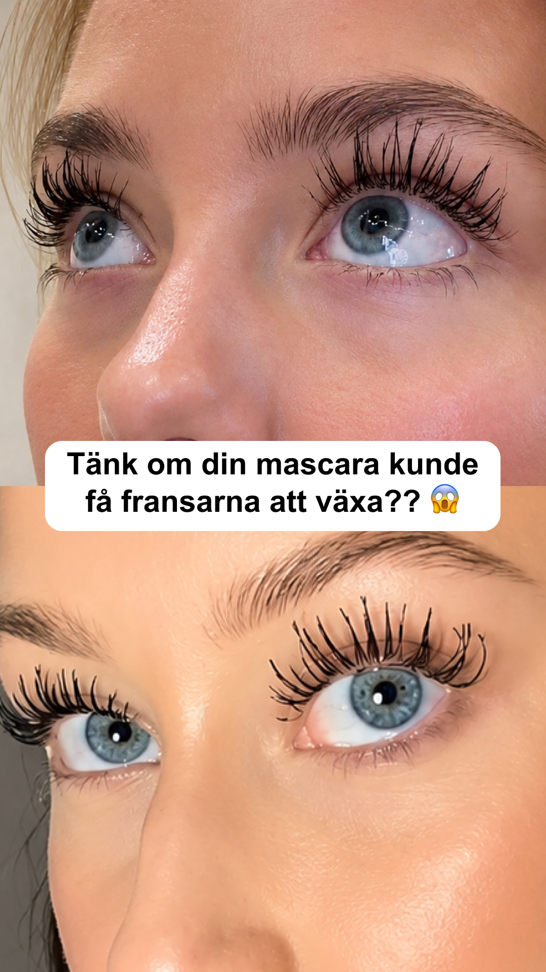 Lenoites Facebook ad