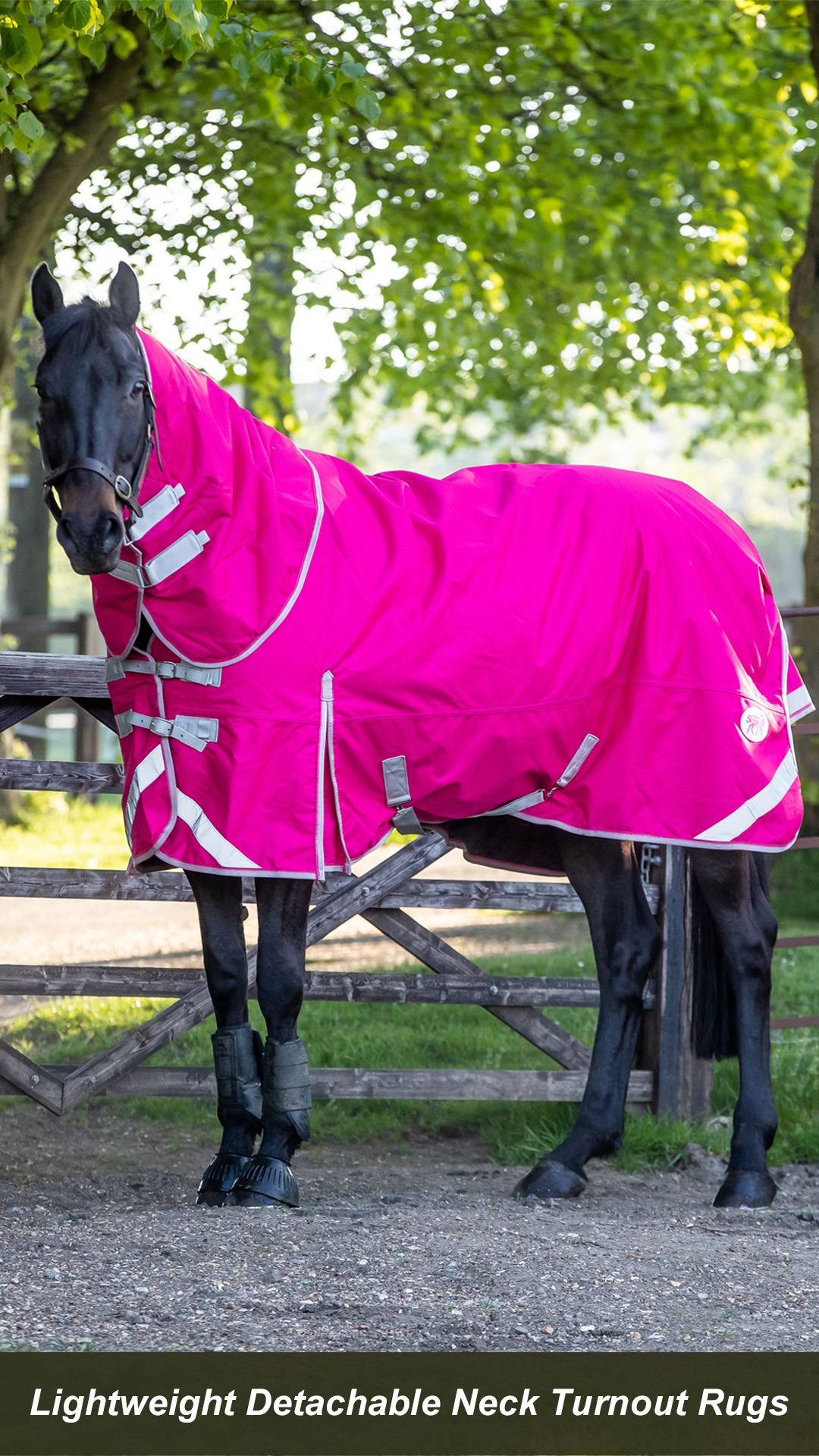 Swish Horse Rugs Facebook ad from Dec 4, 2023