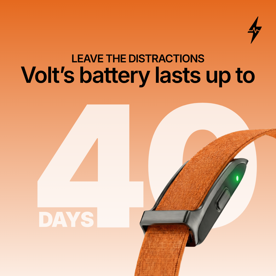 Volt UK Facebook ad