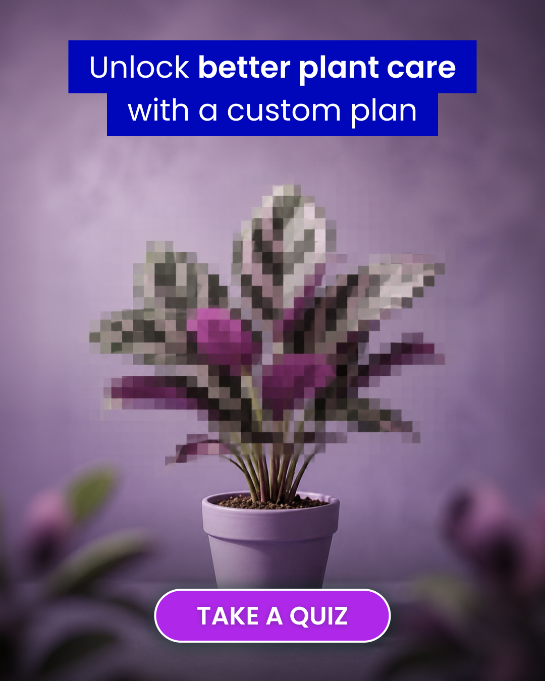 PlantIn AI: Never Kill Your Plants Facebook ad from May 25, 2026