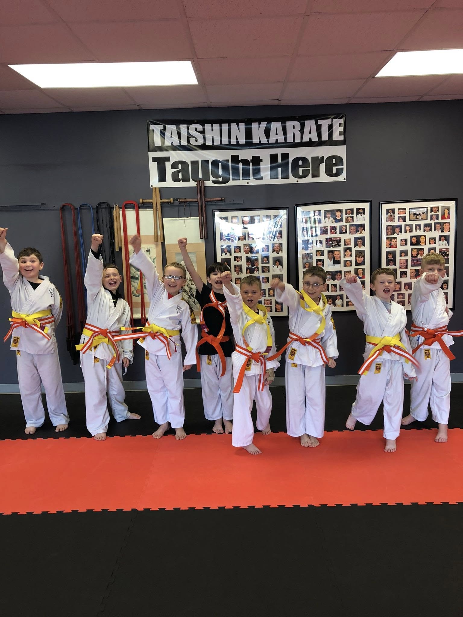 Lincoln Karate Clinic Facebook ad: Online Karate Special!