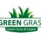 Green Grass Store