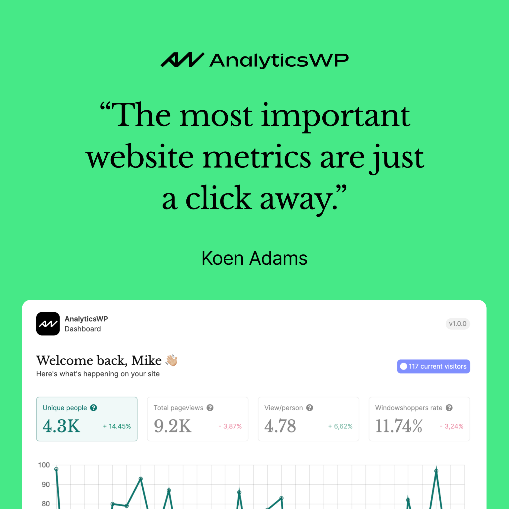 Analytics WP Facebook ad