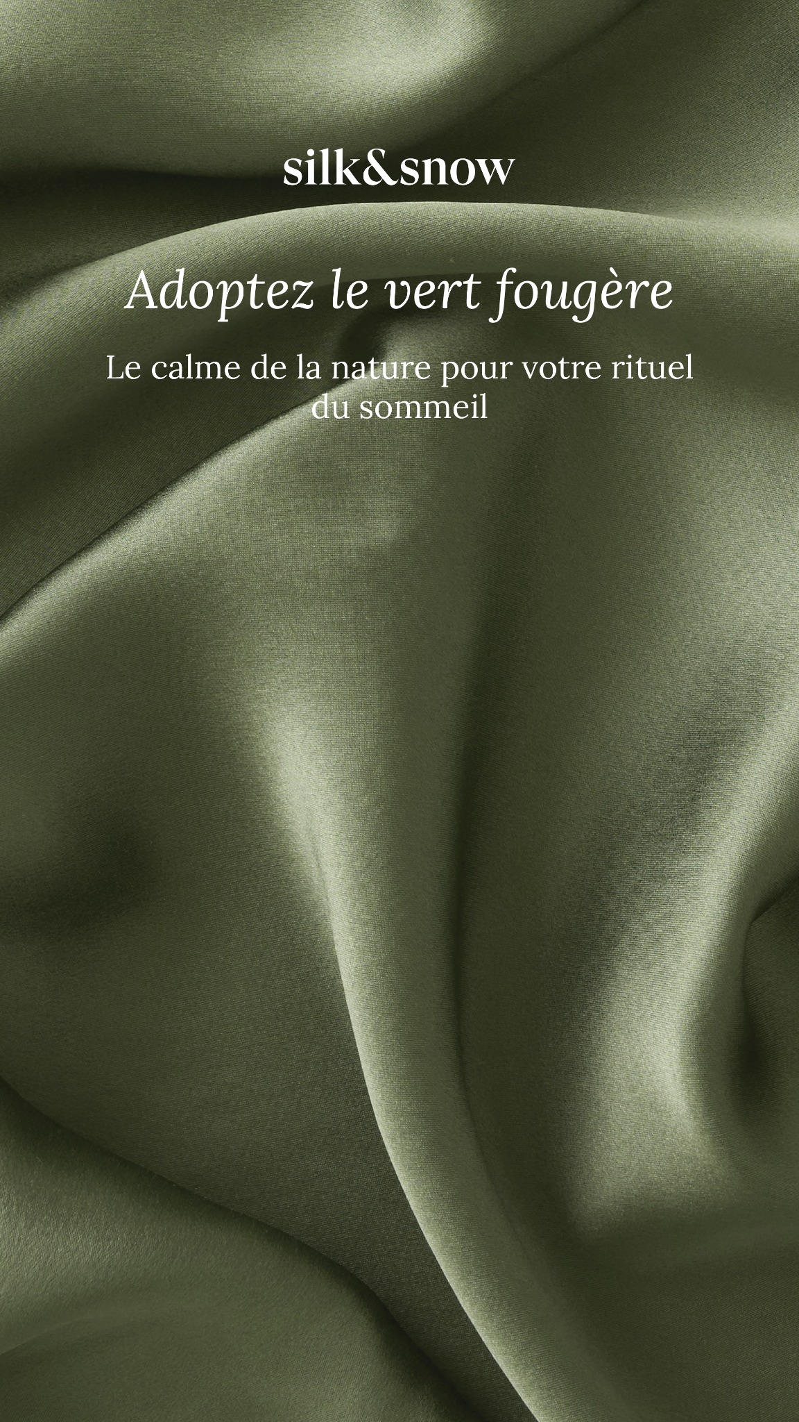 Maison Silk & Snow Facebook ad