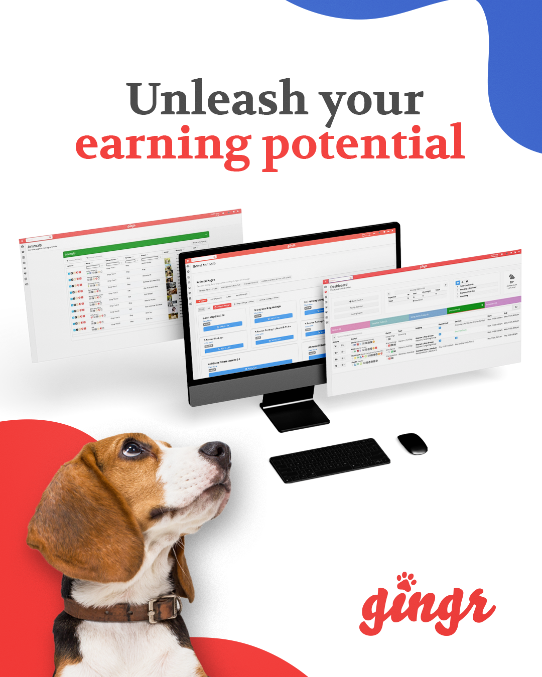 Gingr Facebook ad