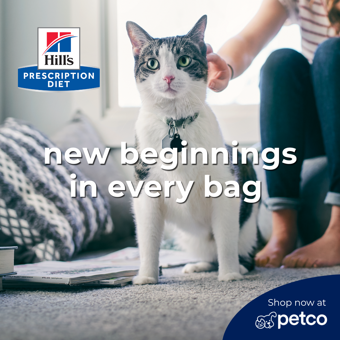 Petco Facebook ad
