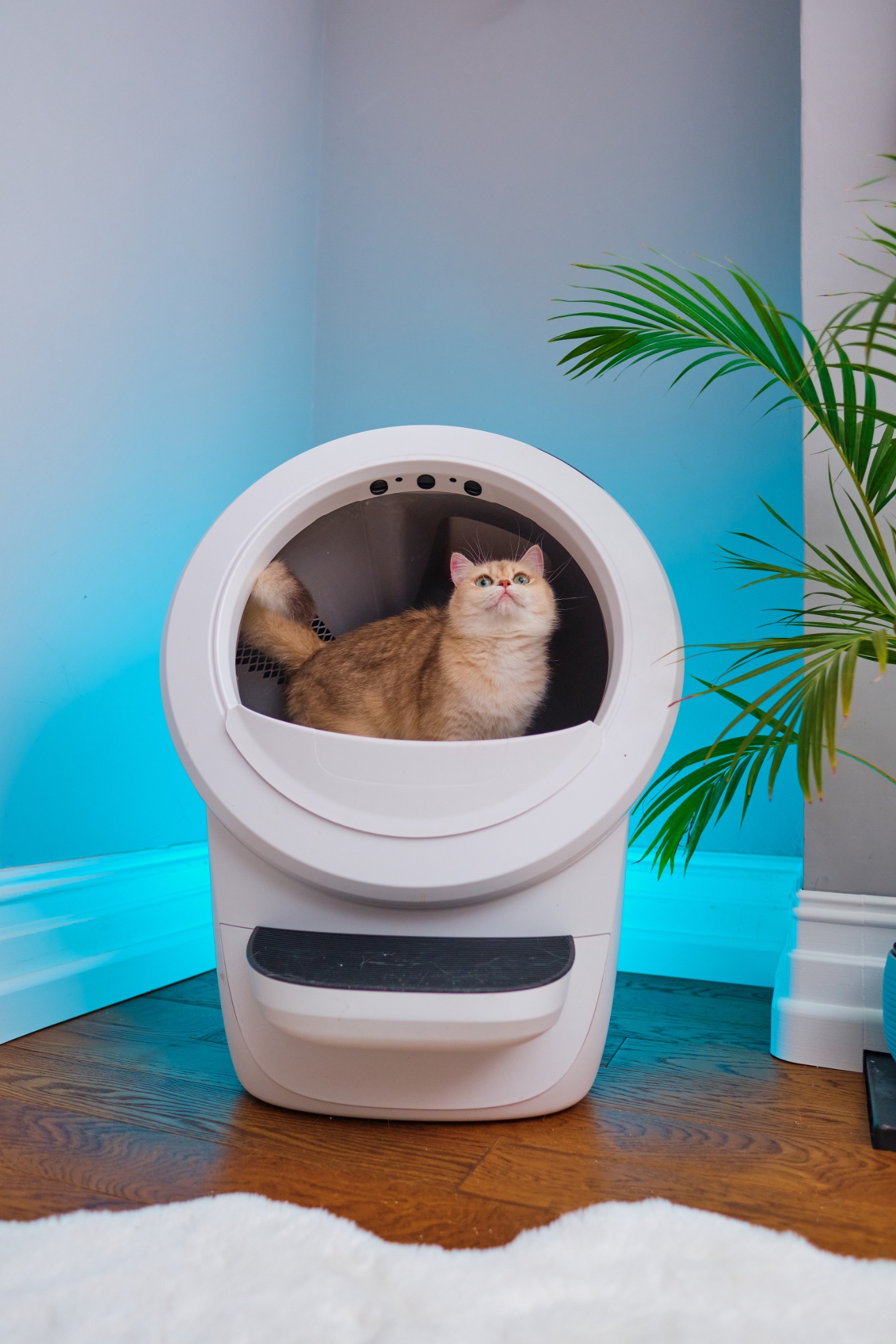 Litter-Robot by Whisker Facebook ad