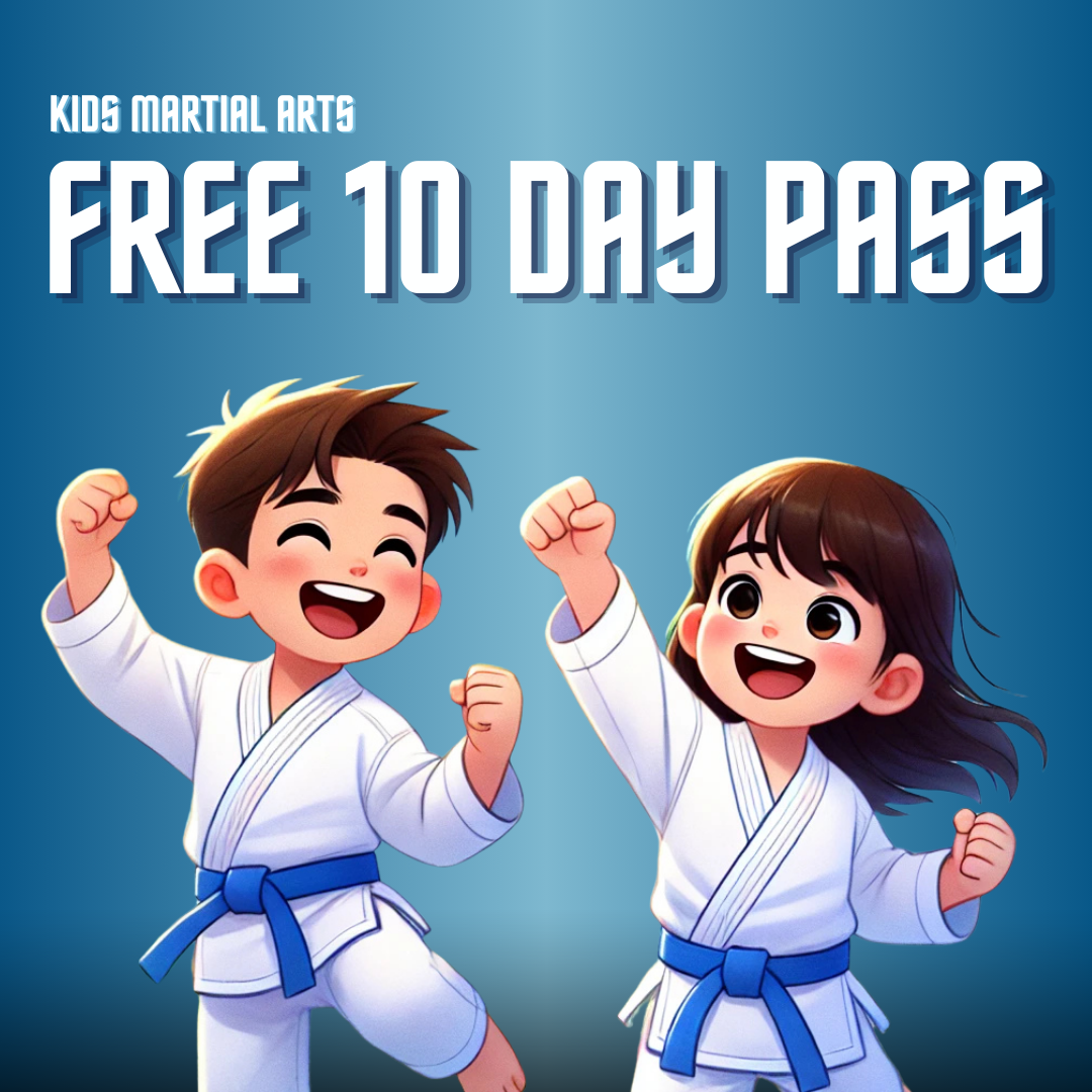 Northwest Indiana Martial Arts Academy Facebook ad: 10 FREE Days Of Kids Martial Arts Lessons