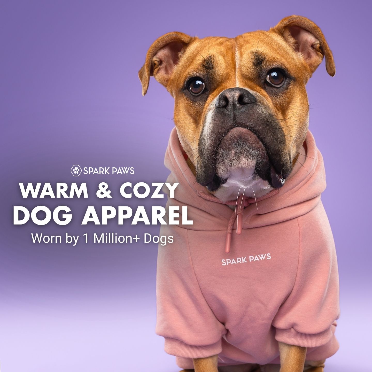 Spark Paws Facebook ad