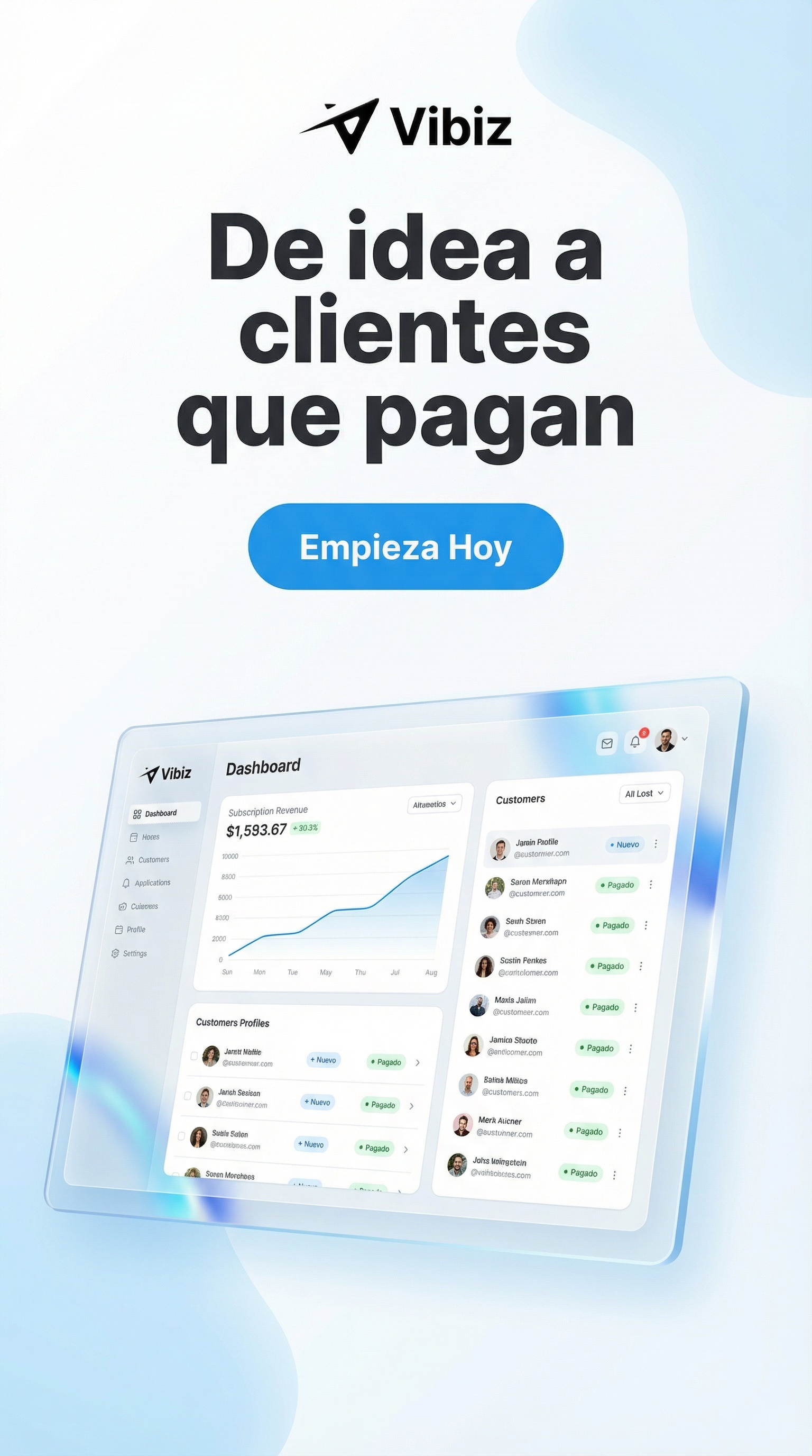 Vibiz Facebook ad