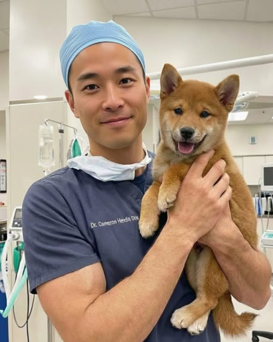 Dog Health Insider Facebook ad: Same breed. Same age. Same apartment building. One dog…