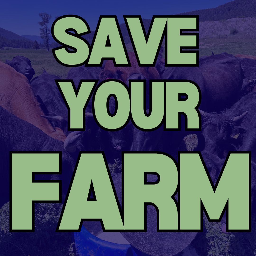 Sell Beef Direct Facebook ad
