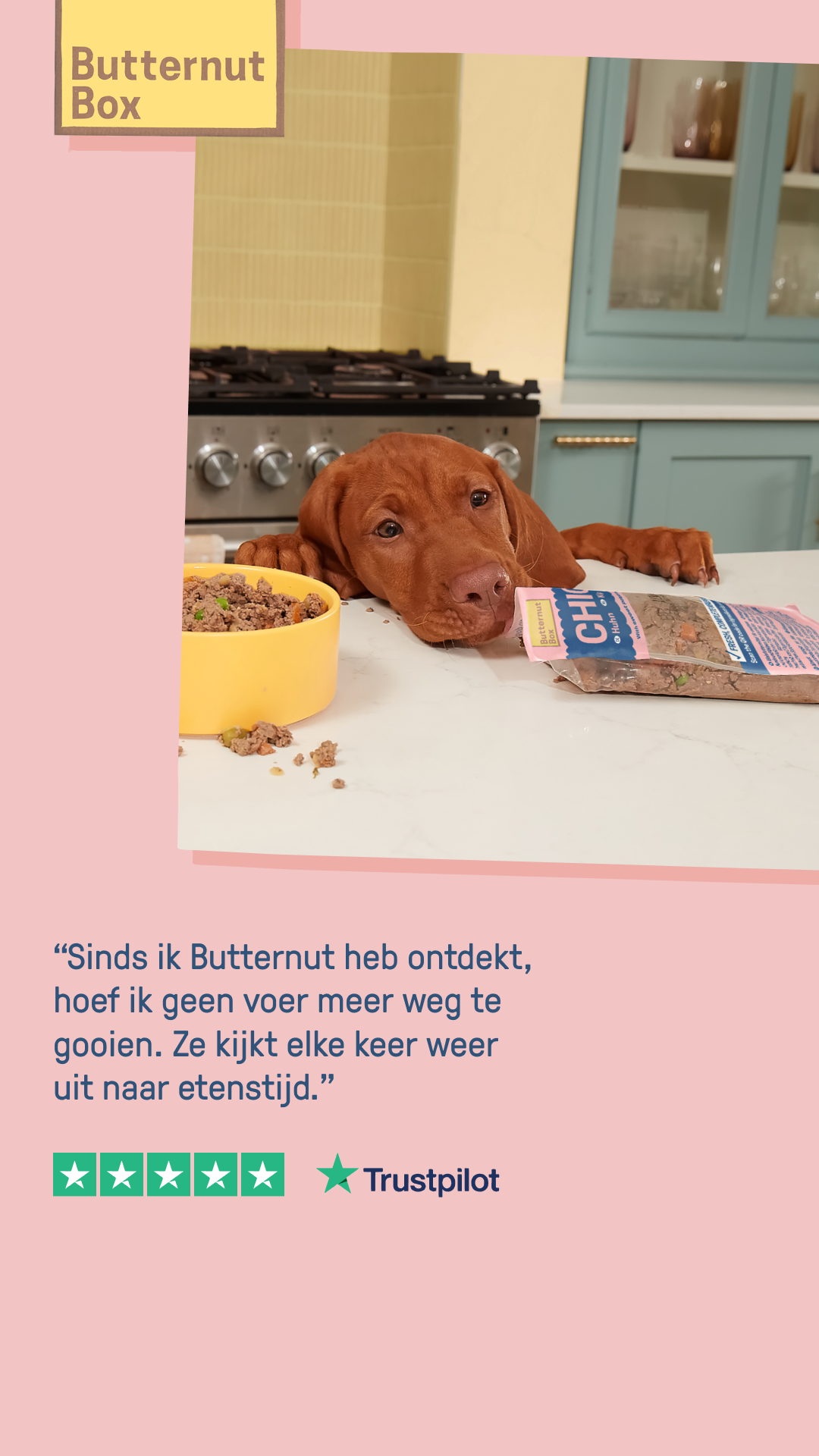 Butternut Box Benelux Facebook ad