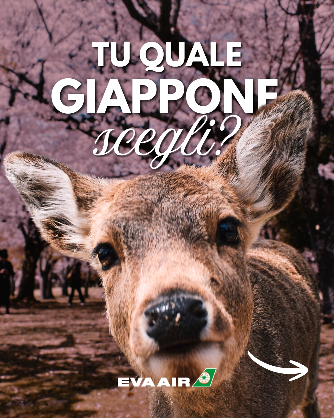 EVA Airways Corp. Italia Facebook ad: La primavera in Giappone dura un attimo.